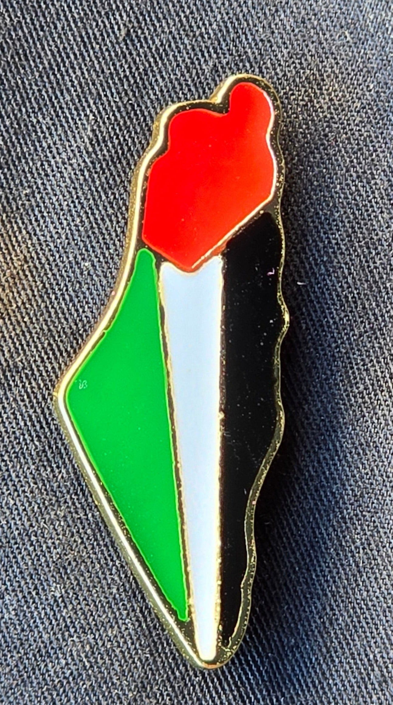 Palestinian Map Flag Pin Badge