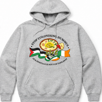 "Stop Colonising Hummus" Hoodie | Heritage Not For Takeaway | Green & Gray