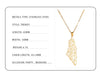 Load image into Gallery viewer, Palestine Map Pendant Necklace for Women and Men - Darweesh Verse, golden colour